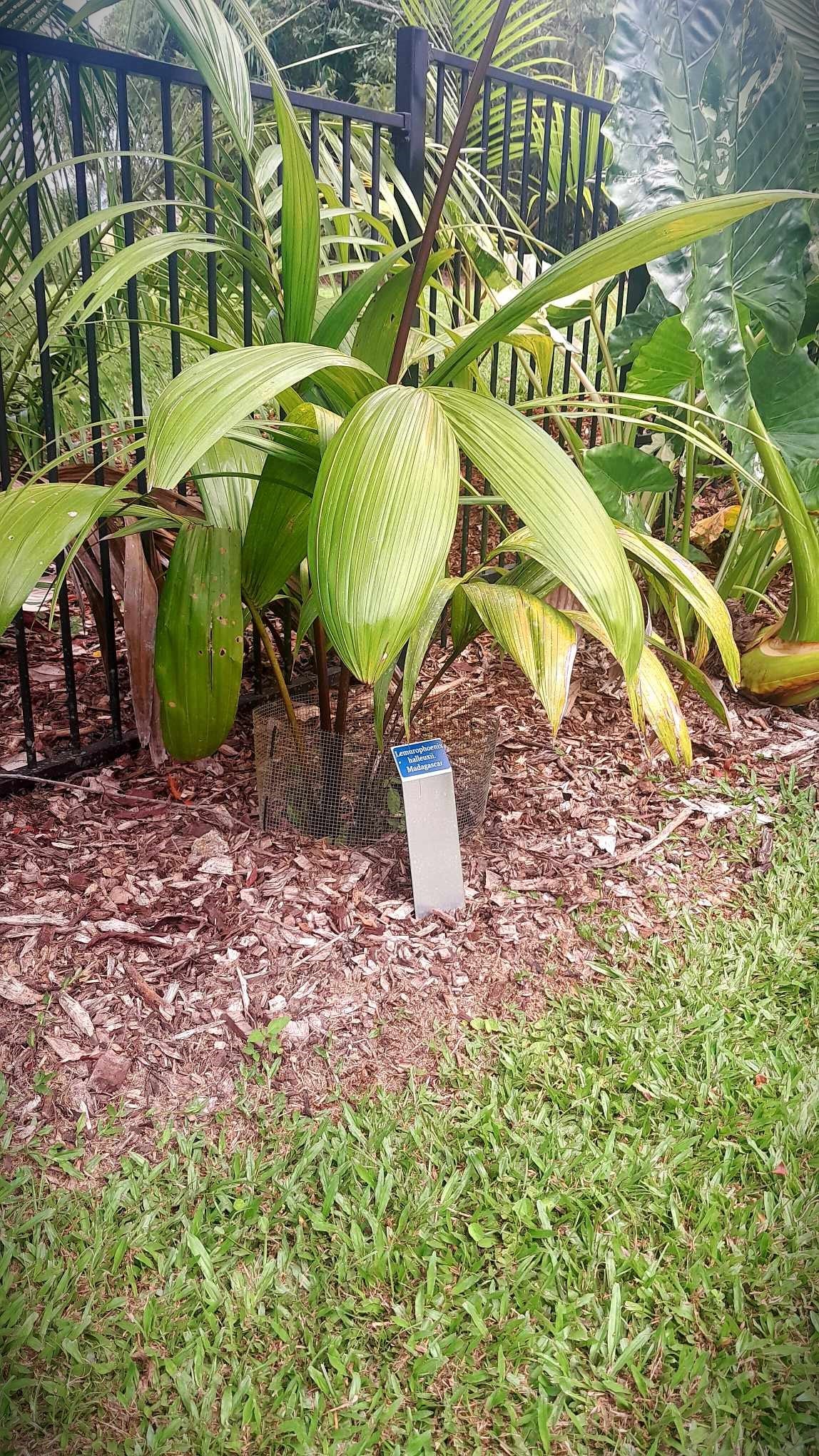 plant name badge
